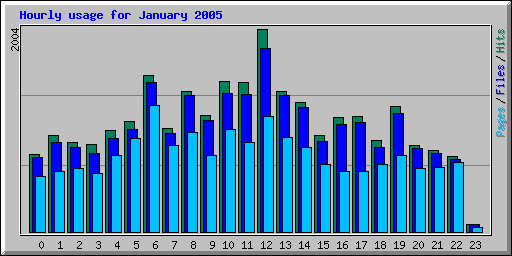 Hourly usage for January 2005